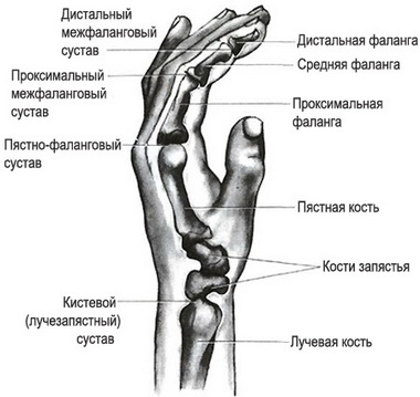 Реабилитация руки